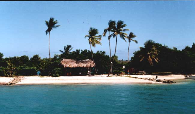 noman2.jpg - 31613 Bytes